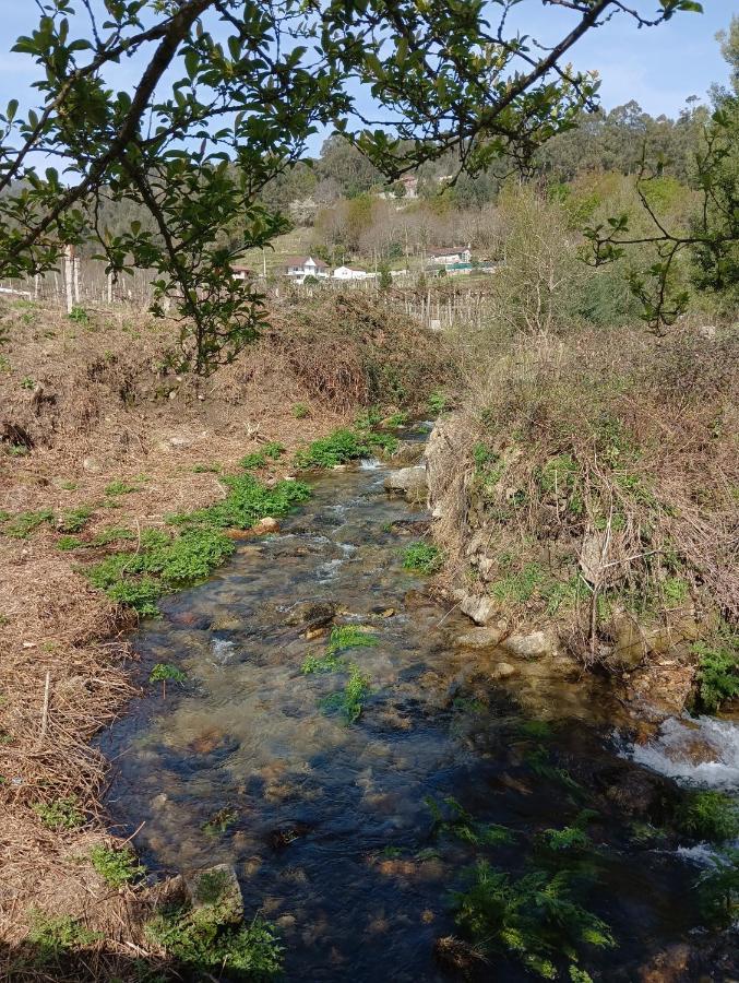 Villa La Favorita Pontevedra Esterno foto